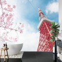 Fototapeta Tokyo Tower Na Tle Nieba