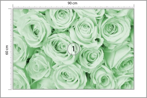 Fototapeta Bukiet Róż Zielony