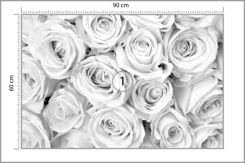 Fototapeta Czarno-Biały Bukiet Róż