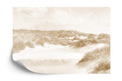 Fototapeta Dune Paradise Faded Vintage W Sepii