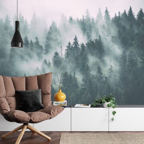 Fototapeta Las We Mgle