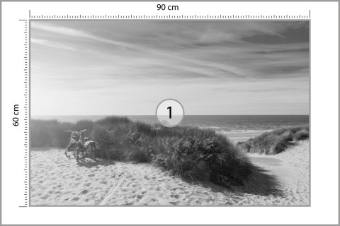 Fototapeta Ostatnie Letnie Słońce Czarno-Białe