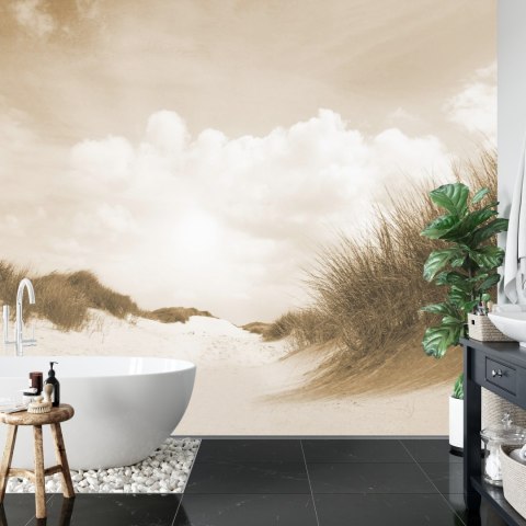 Fototapeta Piaszczyste Dni W Sepii