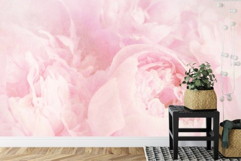 Fototapeta Piękne Kwiaty Wyblakły Vintage Różowy