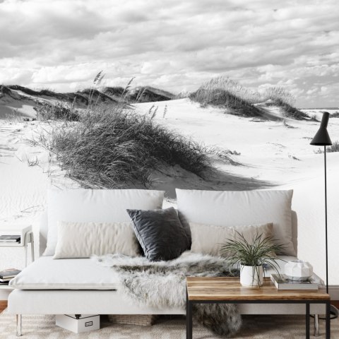 Fototapeta Popołudnie W Wydmach Black & White