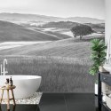 Fototapeta Rolling Hills Faded Vintage W Czerni I Bieli