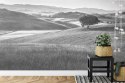 Fototapeta Rolling Hills Faded Vintage W Czerni I Bieli