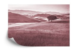 Fototapeta Rolling Hills Faded Vintage W Kolorze Czerwonym