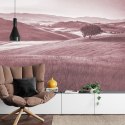 Fototapeta Rolling Hills Faded Vintage W Kolorze Czerwonym