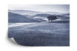 Fototapeta Rolling Hills Faded Vintage W Kolorze Niebieskim