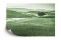 Fototapeta Rolling Hills Faded Vintage W Kolorze Zielonym