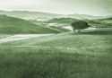 Fototapeta Rolling Hills Faded Vintage W Kolorze Zielonym