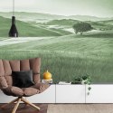 Fototapeta Rolling Hills Faded Vintage W Kolorze Zielonym