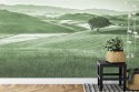 Fototapeta Rolling Hills Faded Vintage W Kolorze Zielonym