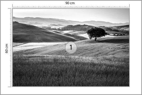 Fototapeta Rolling Hills W Czerni I Bieli