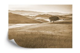 Fototapeta Rolling Hills Wyblakły Rocznik W Sepii