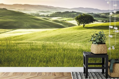 Fototapeta Toczące Się Wzgórza