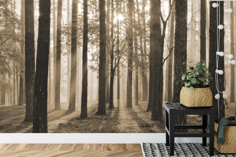 Fototapeta Wschód Słońca W Sepii