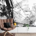 Fototapeta Abstract Ink Paint Background