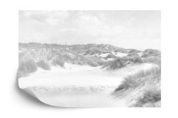 Fototapeta Dune Paradise Faded Vintage W Czerni I Bieli