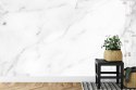 Fototapeta Marble Granite White Background Wall Surface Black Pattern Graphic Abstract Light Elegant Black For Do Floor Ceramic 