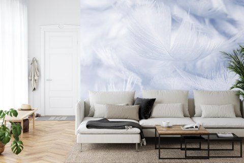 Fototapeta Pióra W Kolorze Niebieskim