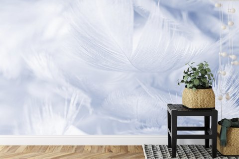 Fototapeta Pióra W Kolorze Niebieskim