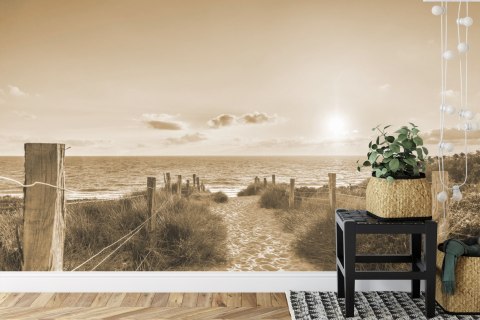 Fototapeta Sepia Letniego Zachodu Słońca