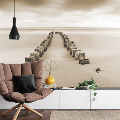 Fototapeta Sepia Przypływów I Odpływów