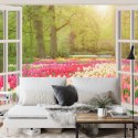 Fototapeta Window With Beautiful Spring Tulips Flowers Garden In Netherlands.