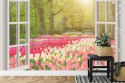 Fototapeta Window With Beautiful Spring Tulips Flowers Garden In Netherlands.