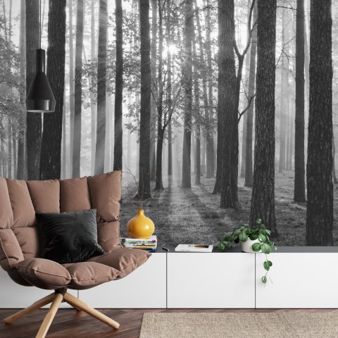 Fototapeta Wschód Słońca W Czerni I Bieli