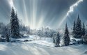 Fototapeta Beautiful Winter Landscape. Majestic White Spruces Glowing By Sunlight. Picturesque And Gorgeous Wintry Scene.