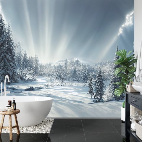 Fototapeta Beautiful Winter Landscape. Majestic White Spruces Glowing By Sunlight. Picturesque And Gorgeous Wintry Scene.