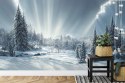 Fototapeta Beautiful Winter Landscape. Majestic White Spruces Glowing By Sunlight. Picturesque And Gorgeous Wintry Scene.