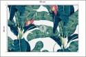 Fototapeta Botanical Seamless Pattern, Hand Drawn Banana Tree On Bright Grey