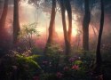 Fototapeta Colorful Sunset Forest Scenery With Beautiful Trees And Plants, Natural Green Environment With Amazing Nature