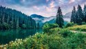 Fototapeta Dramatic Morning Scene Of Lacu Rosu Lake. Misty Summer Sunrise In Harghita County, Romania, Europe. Beauty Of Nature 