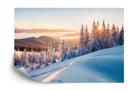 Fototapeta Impressive Winter Morning In Carpathian Mountains With Snow Covered Fir Trees. Colorful Outdoor Scene, Happy New Year