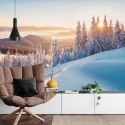 Fototapeta Impressive Winter Morning In Carpathian Mountains With Snow Covered Fir Trees. Colorful Outdoor Scene, Happy New Year