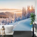 Fototapeta Impressive Winter Morning In Carpathian Mountains With Snow Covered Fir Trees. Colorful Outdoor Scene, Happy New Year