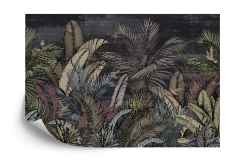 Fototapeta Pattern Wallpaper Jungle Tropical Drawings Of Palms Trees And Birds Of Different Colors With Birds And Black Backgrou