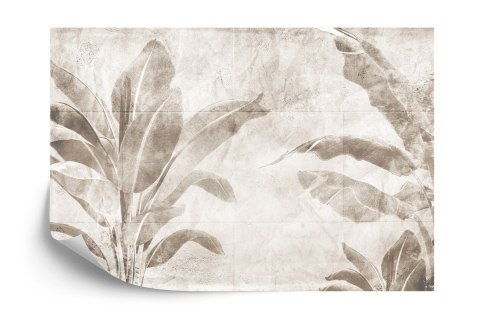 Fototapeta Tropical Trees And Leaves For Digital Printing Wallpaper, Custom Design Wallpaper - 3D