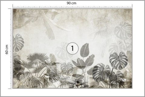 Fototapeta Tropical Trees And Leaves For Digital Printing Wallpaper, Custom Design Wallpaper - 3D