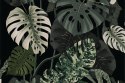 Fototapeta 4K Resolution Or Higher, Botanical Maximalism, High Contrast Leaves Pattern. Generative Ai Technology