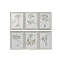 Obraz DKD Home Decor Nowoczesny Rośliny botaniczne 45 x 2,5 x 60 cm (6 Sztuk)