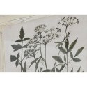 Obraz Home ESPRIT Shabby Chic Rośliny botaniczne 40 x 1,5 x 50 cm (6 Sztuk)