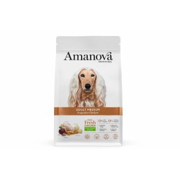 Karma Amanova Adult Medium Exquisite Chicken