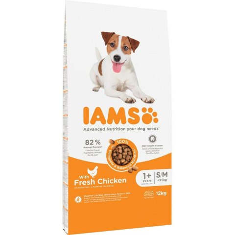 Karma IAMS Vitality Adult Small & Medium kurczak 12 kg