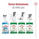 Karma Royal Canin Adult Mini S Ptaki 4 Kg